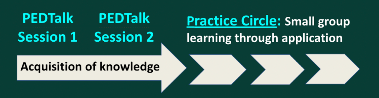 PEDTAlk process flow